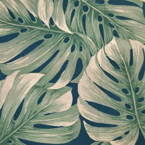 monstera deliciosa roots Monstera Plant in 4 Inch Pot, Fully Established Roots, Monstera delici –  Jayme Garden main image 0