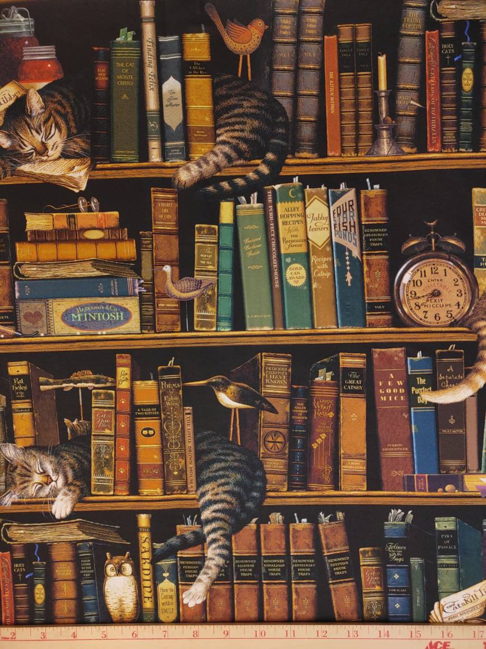 Cat Library Quilting Cotton Fabric Northcott Cat Tales Etsy
