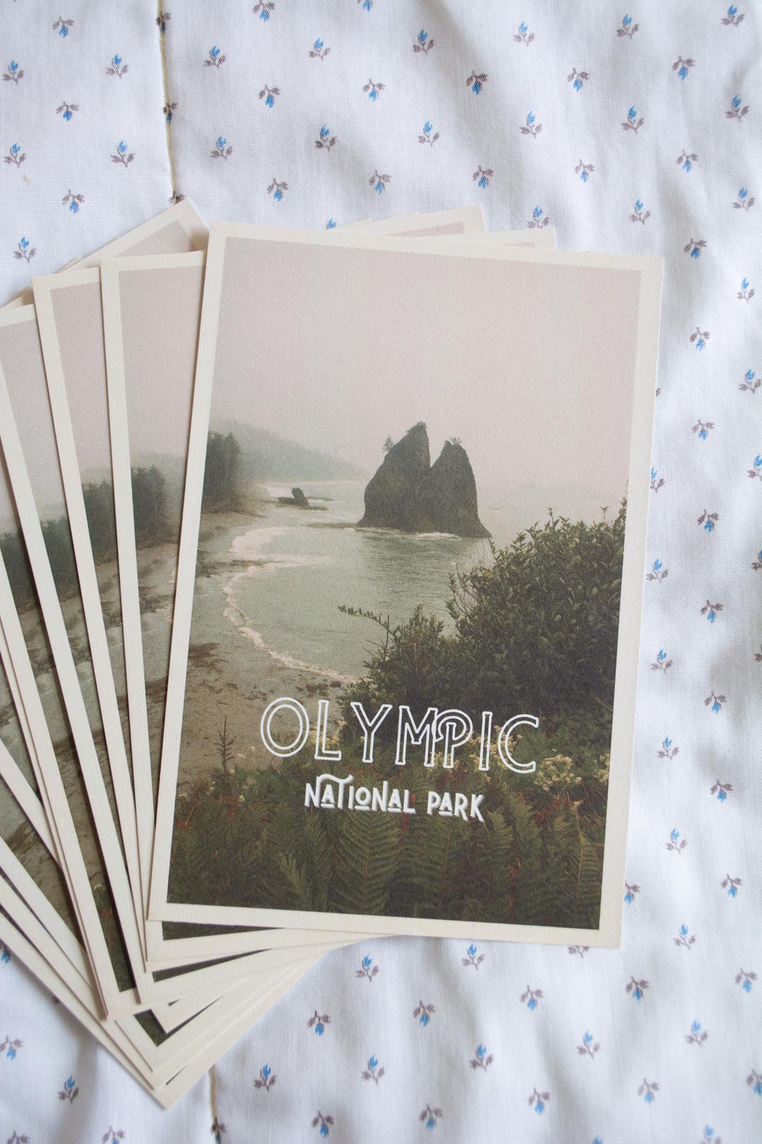 Olympic National Park Postcard, Rialto Beach Vintage Style, Washington