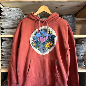 May include: Rust-colored hooded sweatshirt with a large circular graphic. The graphic features a mountain scene with a waterfall, trees, and a crescent moon. The sweatshirt has a front pocket and a drawstring hood.