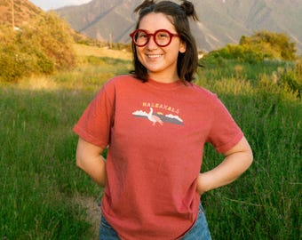 T-shirt Haleakalā National Park: Hawaï-wandelshirt, comfortabel kleuren T-shirt