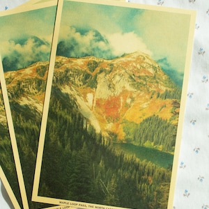 May include: Several vintage-style postcards featuring a mountain landscape with a lake and evergreen trees. The postcards have a cream-colored border and the text "Maple Loop Pass, The North Cascades, Washington". The image has a vintage, faded aesthetic.