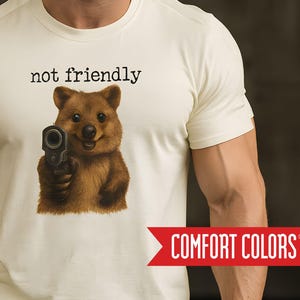 Funny gym shirt for serious lifters, weightlifting tee, workout shirt, gym motivation, not friendly gym apparel, humorous lifting t-shirt
