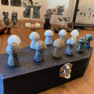 Small mushroom carvings