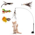 NELADE Interactive Cat Toy, Self-Entertainment with Suction Cup, Feathered Cat Wand (5 Pendants)