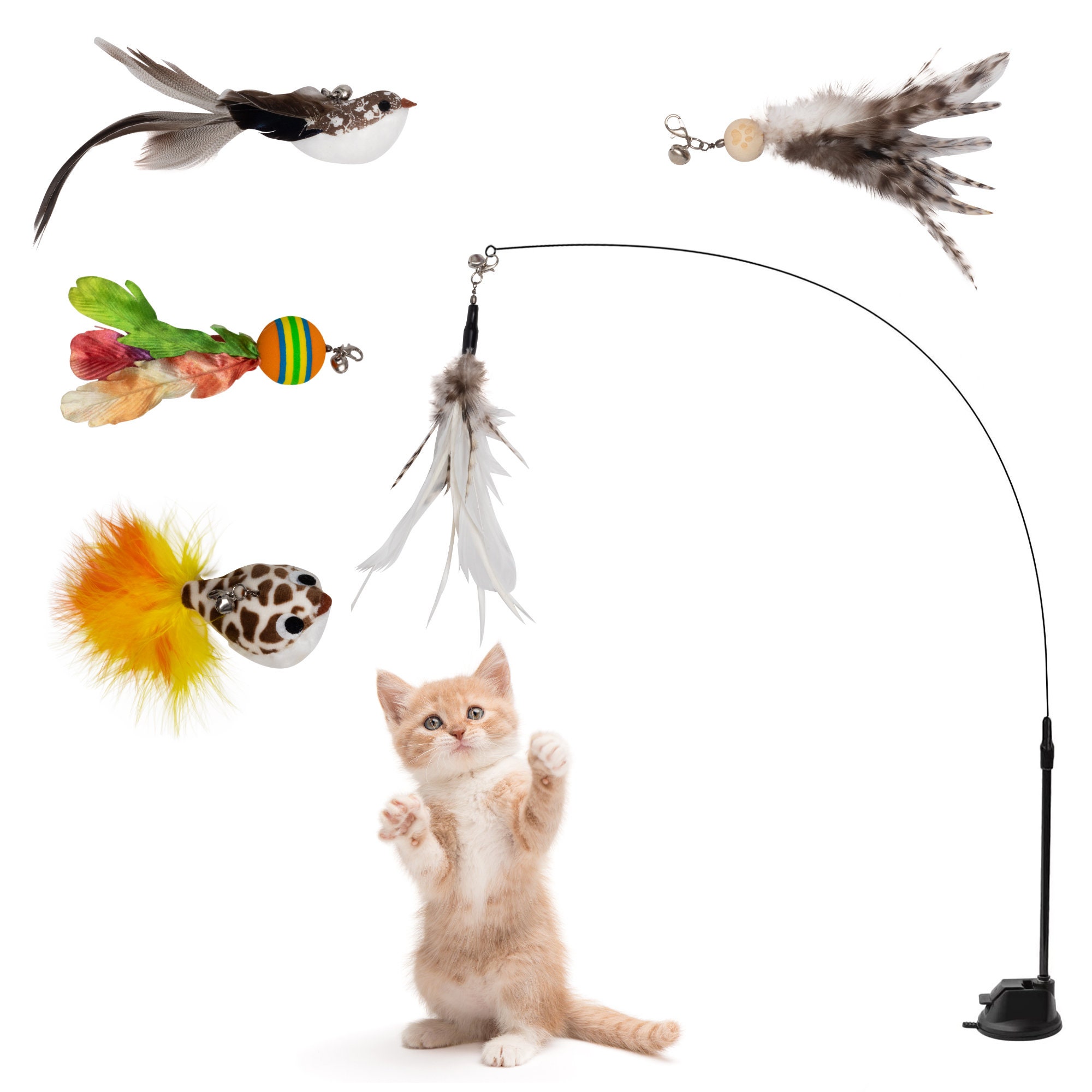 Buy Toy Cat Fishing Rod Online In India -  India