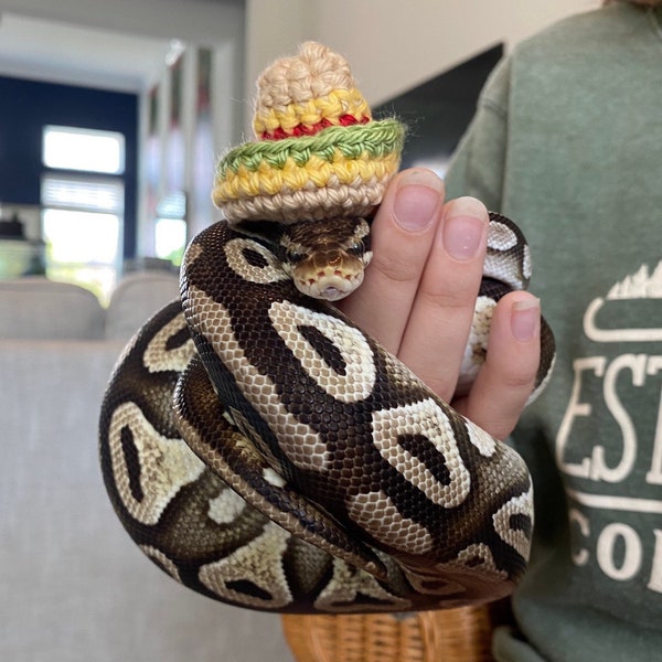 Mini Sombrero | Small Animal Sombrero