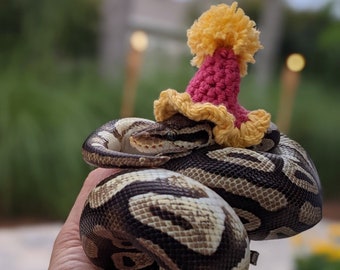 Mini Party Hat | Small Animal Party Hat