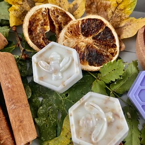 May include: Two white hexagonal soaps with a bee design on top, surrounded by dried orange slices, cinnamon sticks, and autumn leaves.