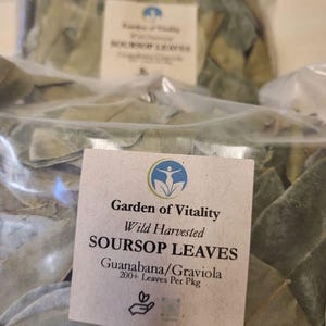 Wild Harvested Soursop Leaves - Herbal Tea (200+ Leaves)
