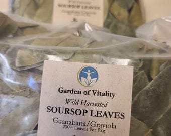 Wild Harvested Soursop Leaves - Herbal Tea (200+ Leaves)