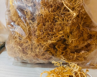 Raw Gold Sea Moss - Jamaican Ocean Grown, 2.5 lb Bulk