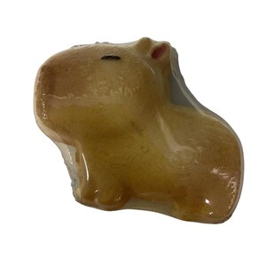 Capybara Bath Bomb Bundle - 5oz (3pk)