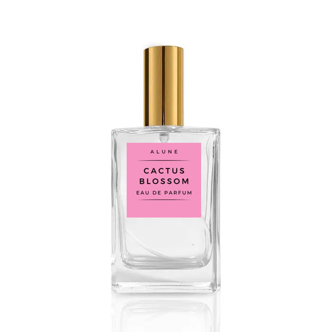 Inspired by Cactus Garden 50ml EDP : : Beauty