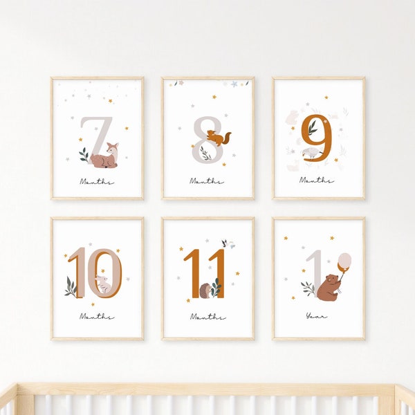 Printable Baby Milestone, Meilensteinkarten Baby, Baby Milestone Cards, Milestone Cards, Baby Month Cards, Baby 12 Month Pictures Digital