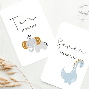 Tarjetas de hitos mensuales para bebés Animales lindos DESCARGA DIGITAL Tarjetas de hitos mensuales imprimibles Babyshower Gift Set Tarjetas de 1 a 12 meses