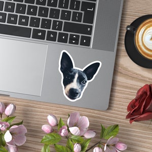 May include: A black and white dog sticker with a white background. The dog is looking directly at the camera with its ears perked up. The sticker is on a silver laptop.