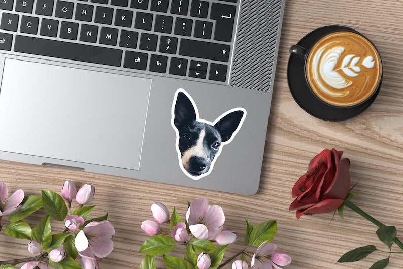 May include: A black and white dog sticker with a white background. The dog is looking directly at the camera with its ears perked up. The sticker is on a silver laptop.