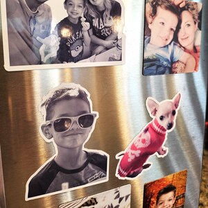 May include: A collage of photos on a stainless steel refrigerator. The photos include a family portrait, a portrait of a young boy wearing sunglasses, a portrait of a young boy and girl, and a photo of a small dog wearing a red sweater.