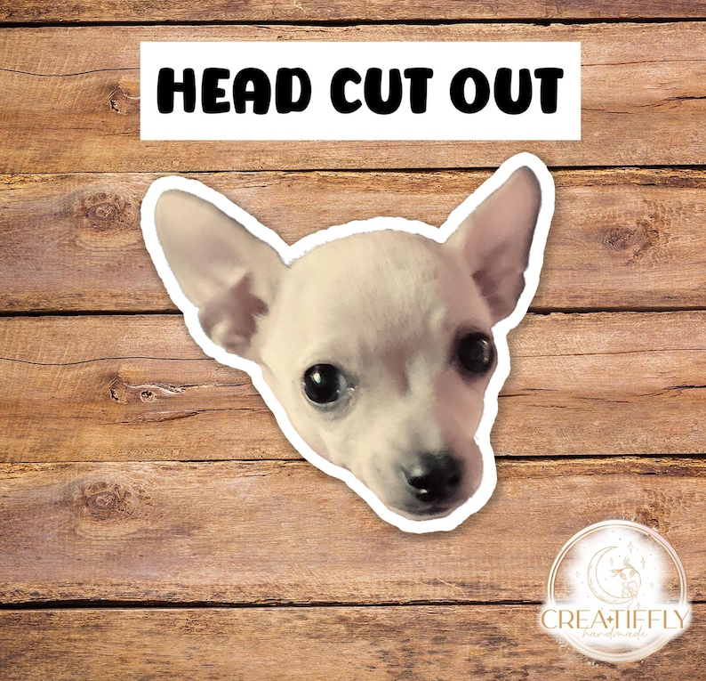 May include: A white chihuahua dog head cut out, with black eyes and a black nose. The dog is looking directly at the camera. The image is on a wood background with the text "HEAD CUT OUT" at the top.