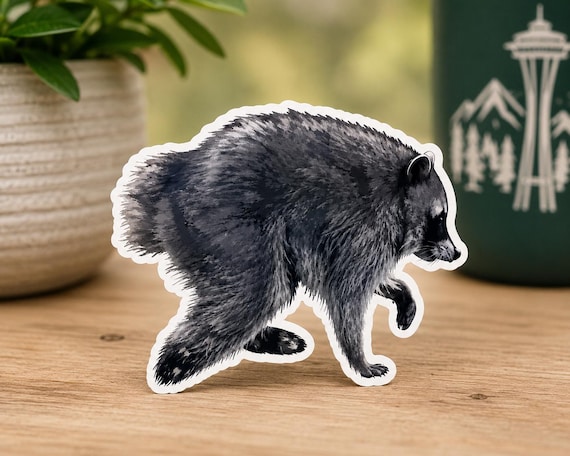 Jimothy the Raccoon Sticker | Seattle Raccoon Meme Sticker | Viral Trash Panda Vinyl Decal | Waterproof Laptop, Water Bottle & Car Sticker