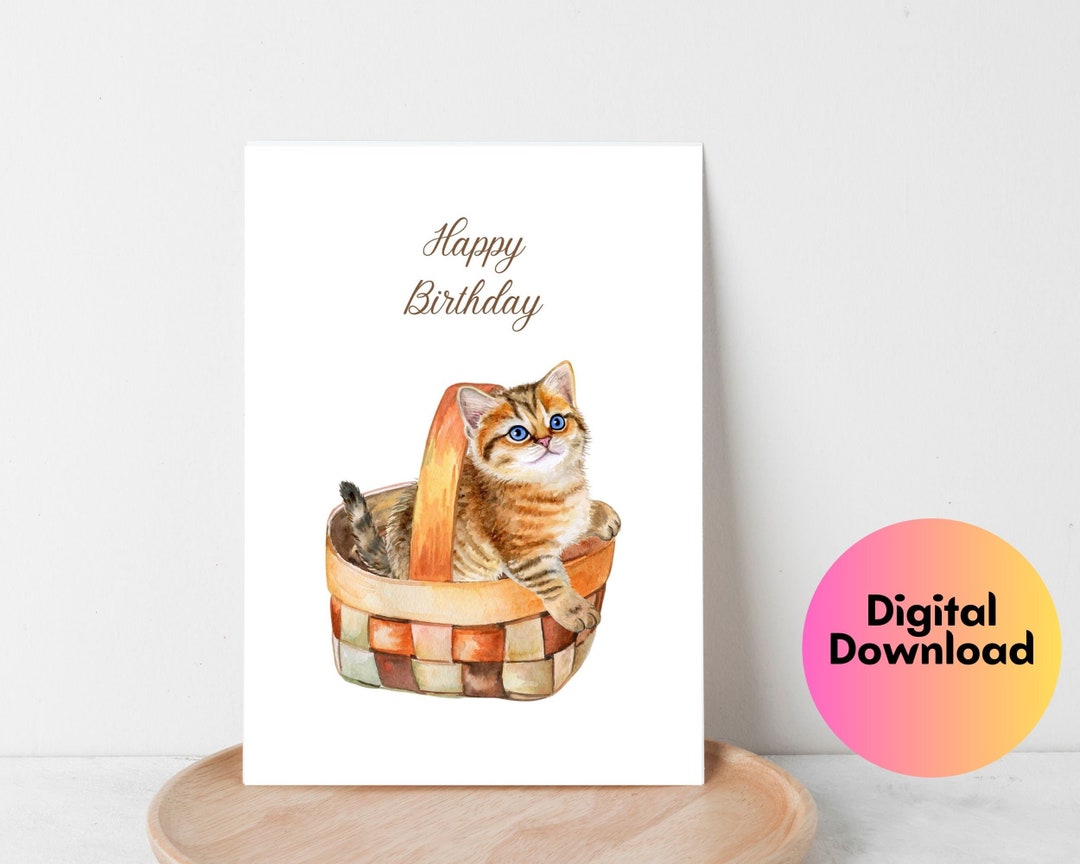 Cute Kitten Birthday Card, Cute Kitten in a Basket. Cat Lovers Birthday