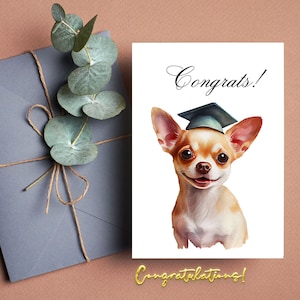 Chihuahua mignon portant une casquette de fin d'études, félicitations promotion 2023, carte d'obtention du diplôme d'études secondaires, carte de félicitations pour diplômé universitaire.