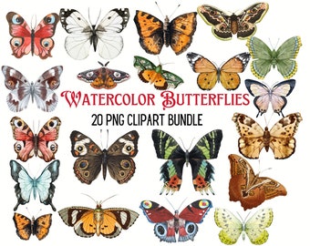Watercolor Butterfly Clipart: Colorful PNG Bundle (20 Images)
