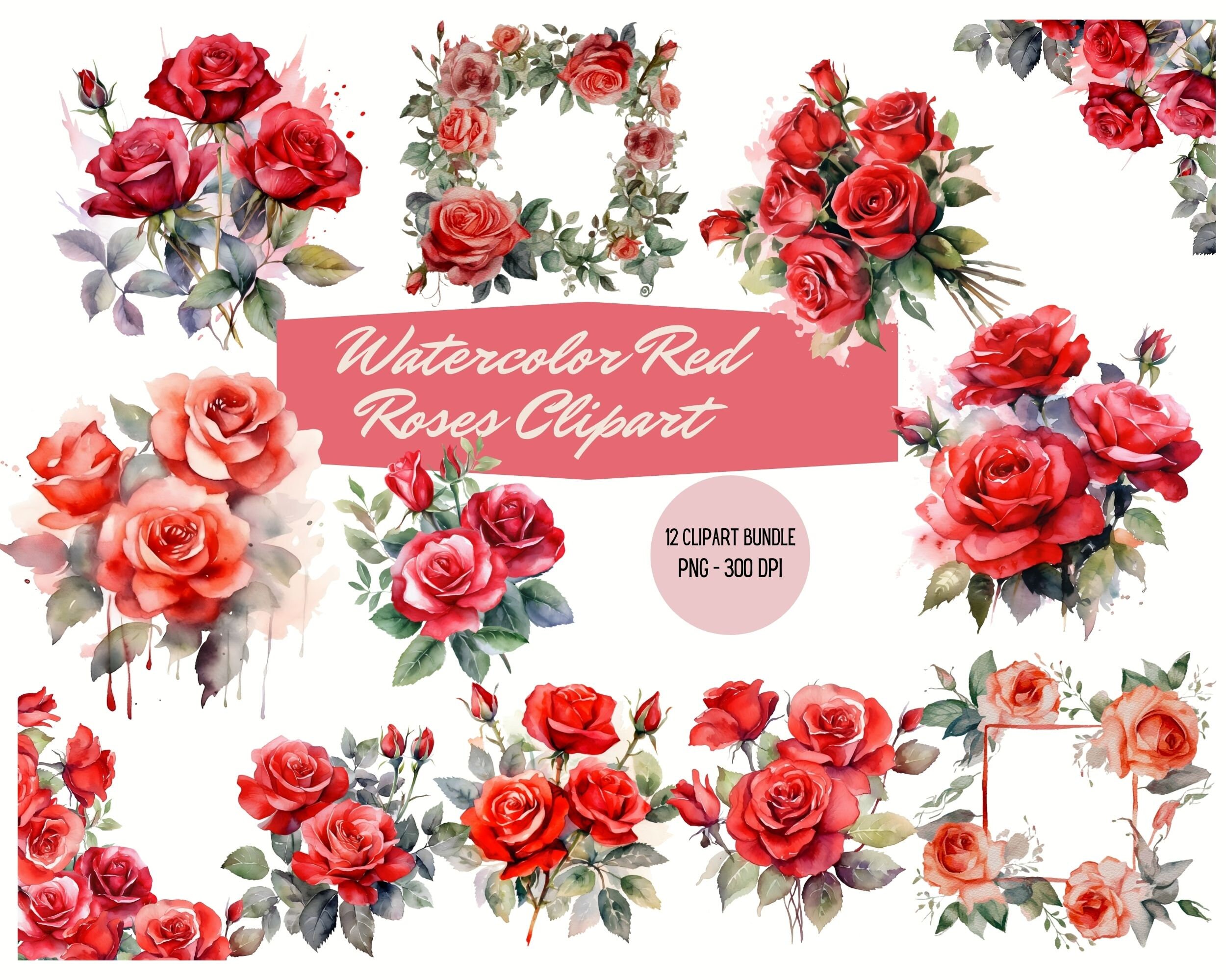 Watercolor Red Roses Clipart Bundle Rose and Leaves PNG Instant