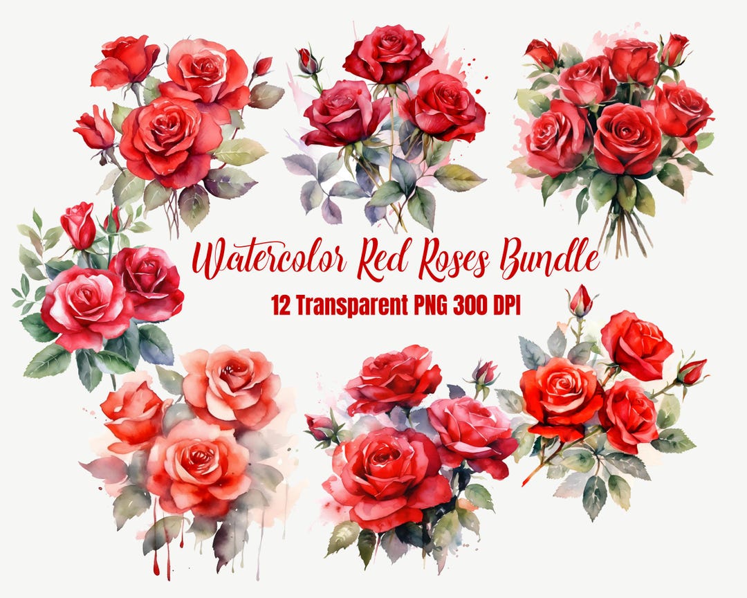 Watercolor Red Roses Clipart Bundle: Floral PNG Graphics (commercial ...