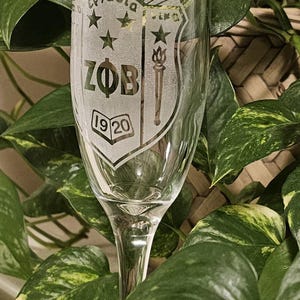 Può includere: Un flûte da champagne trasparente con lettere e simboli greci incisi, tra cui "ZOB" e l'anno "1920". Il bicchiere è circondato da un fogliame verde e giallo-verde.