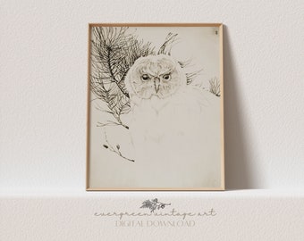 Vintage Owl Minimalist Sketch Print | Antique Woodland Bird Illustration Printable Wall Art | Evergreen Digital Download