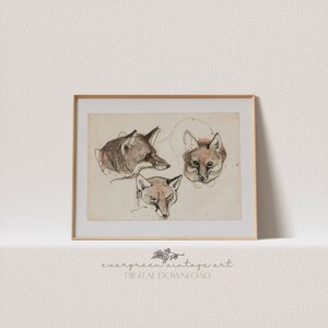 Fox Study Sketch | Vintage Moody Cottagecore Woodland Wildlife Print | Light Academia Printable Wall Art | Evergreen Digital Download