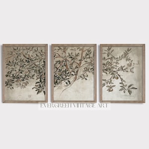 May include: Set of three framed botanical prints. Each print features a sepia-toned illustration of tree branches with leaves and small fruits. The frames are a light brown color, and the artwork has a vintage aesthetic. The text "EVERGREEN VINTAGE ART" is visible.