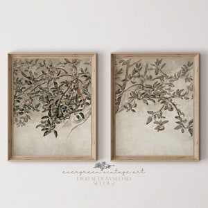 Set of 2 Vintage Apple Tree Branch Split Wall Prints | Neutral Rustic Farmhouse Botanical Printable Wall Art | Evergreen Digital Download