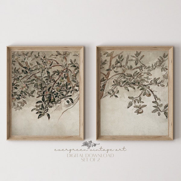 Lot de 2 impressions murales vintage branches de pommier divisées | Art mural botanique imprimable de ferme rustique neutre | Téléchargement numérique Evergreen
