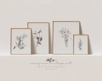 Set aus 4 botanischen Drucken | Vintage Neutral Cottagecore Wildblumen Zeichnung druckbare Galerie Wandkunst | Evergreen Digital Download