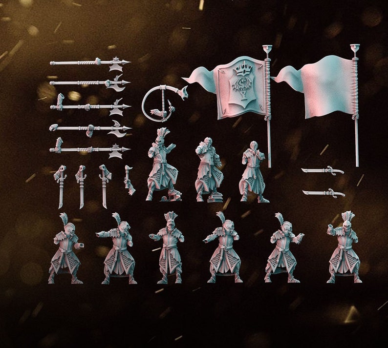 May include: A set of miniature figures, weapons, and flags. The figures are dressed in fantasy armor and hold swords and spears. The flags are white with a black design. The figures are painted in shades of gray.