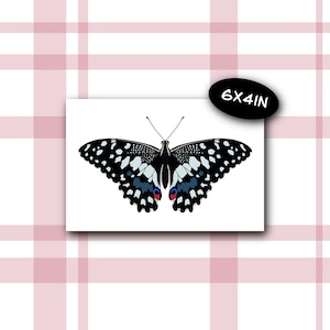 Borboleta Limão | Impressão artística | Impressão 4x6, mini impressão artística, impressão de cartão postal