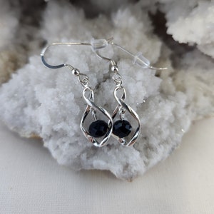 Sterling Silver with Onyx Gemstone Earrings