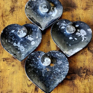 ORTHOCERAS FOSSIL DISH - Made in Morocco - Heart Shaped Plate