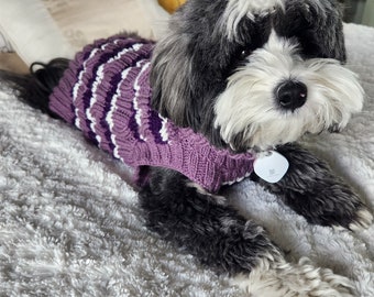 Pull pour chien tricoté main - MOYEN - VIOLET rayé