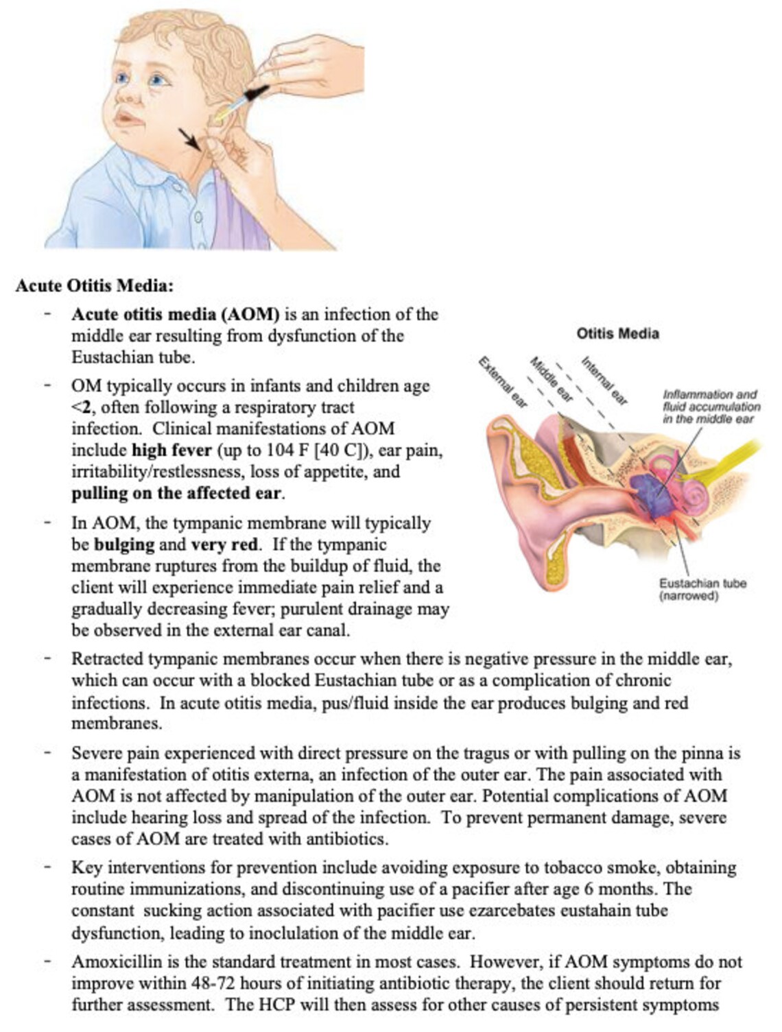 UWORLD NCLEX REVIEW Ears, Nose, Throat System Etsy