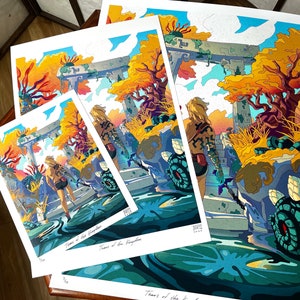 Tears of the Kingdom Zelda Fanart Print