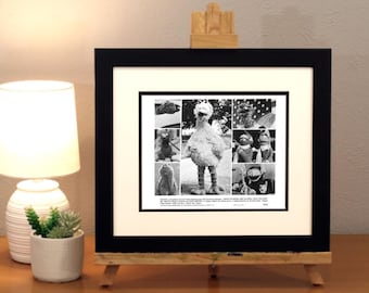 Großer Vogel, Krümelmonster, Grover & Friends| Original Glossy 8x10 Filmstill