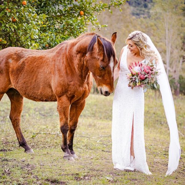 Chapel Length (200cm) Wedding Bridal Veil - Ivory