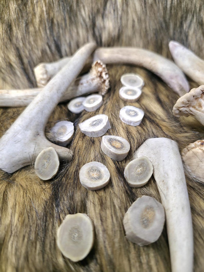 White Tail Deer Antler Slice Pendant Necklace Woven Faux Leather Cord ...