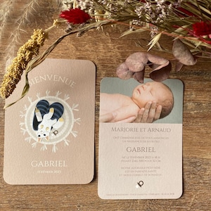 Faire-part naissance chat fille et garçon avec prénom - date et heure de naissance - poids - Format 10,5 x 14,8 cm(A6)