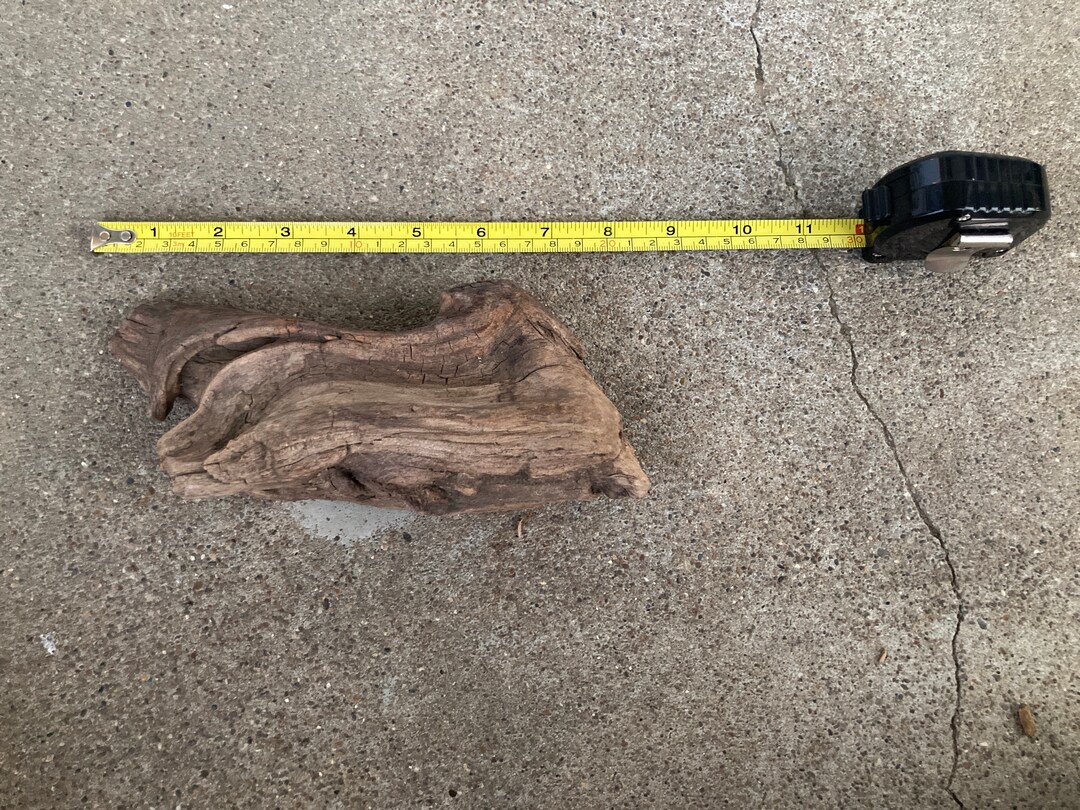 Ohio River Driftwood 8.25x4.5x2.25 Etsy