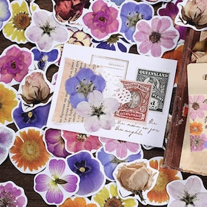 46st geperste bloem sticker, geperste bloem Bullet Journal sticker, Floral planner sticker, bloem scrapbook cadeau decoratie, envelop zegel